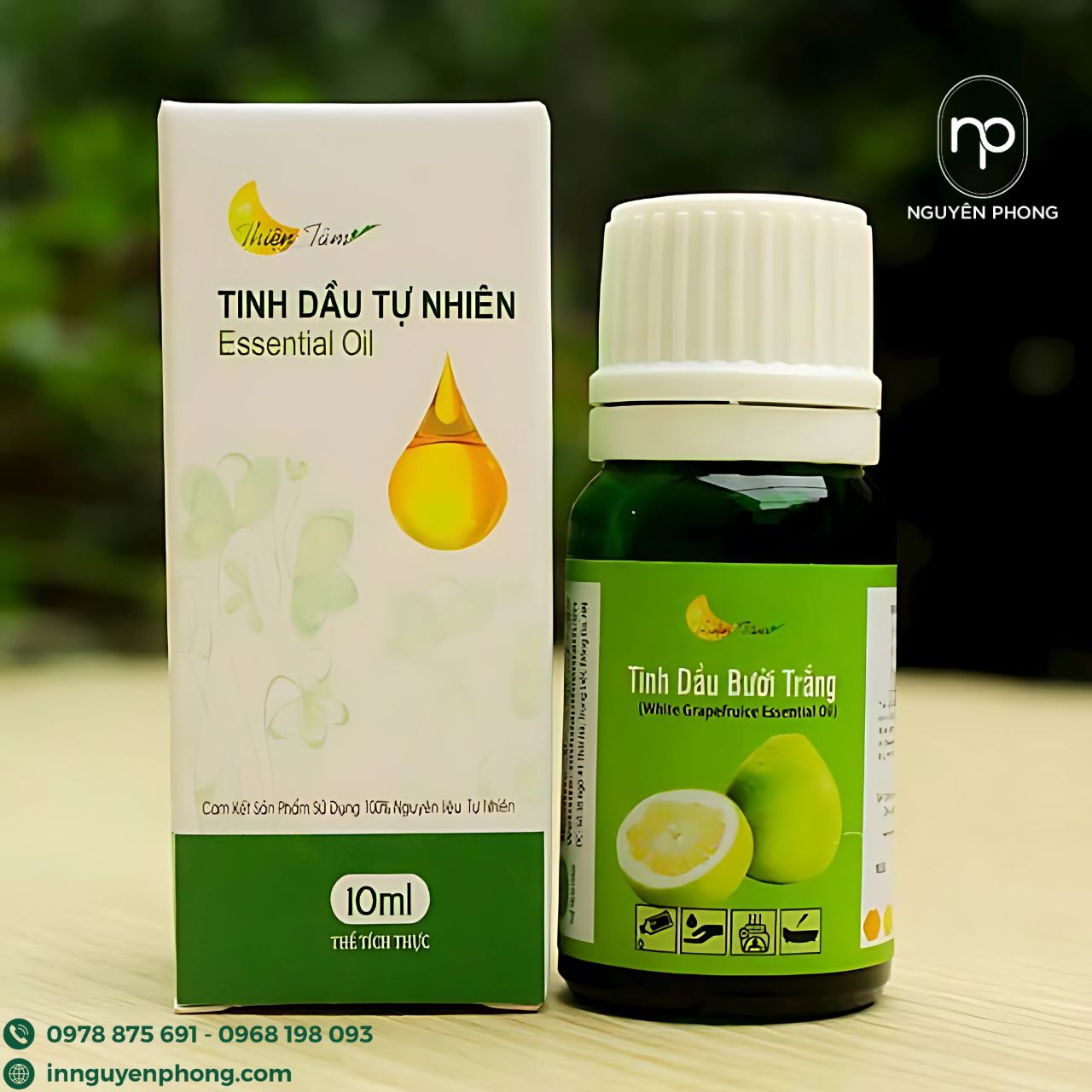 Mẫu hộp giấy đựng tinh dầu
